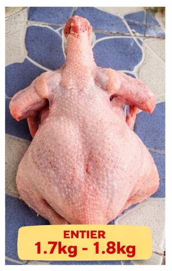 ENTIRE CHICKEN/POULET ENTIER 1.7kg - 1.8kg